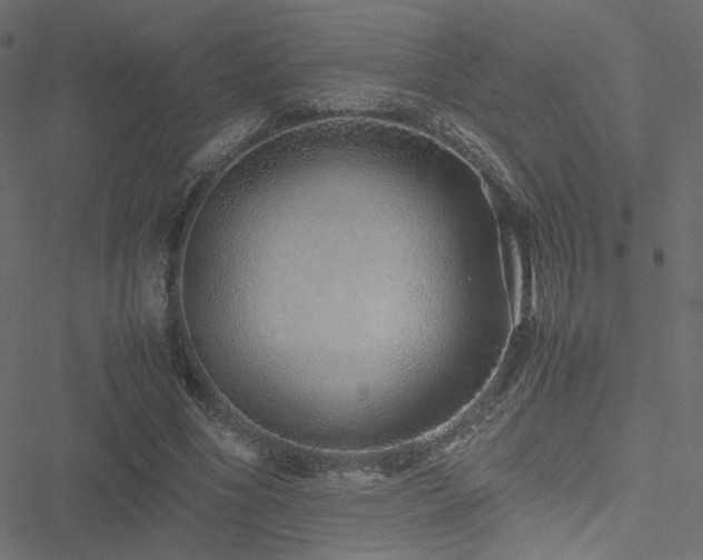 X0000051250586200506171138