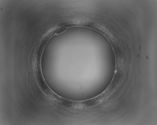 X0000051250587200506171138