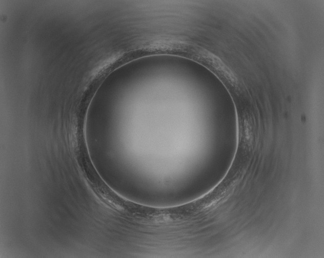 X0000051250588200506171138