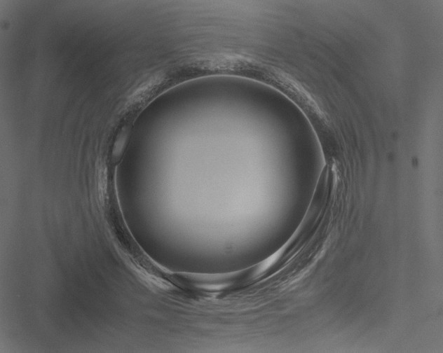 X0000051250589200506171138