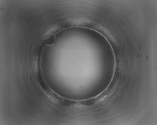 X0000051250590200506171138