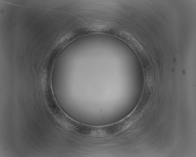 X0000051250591200506171138