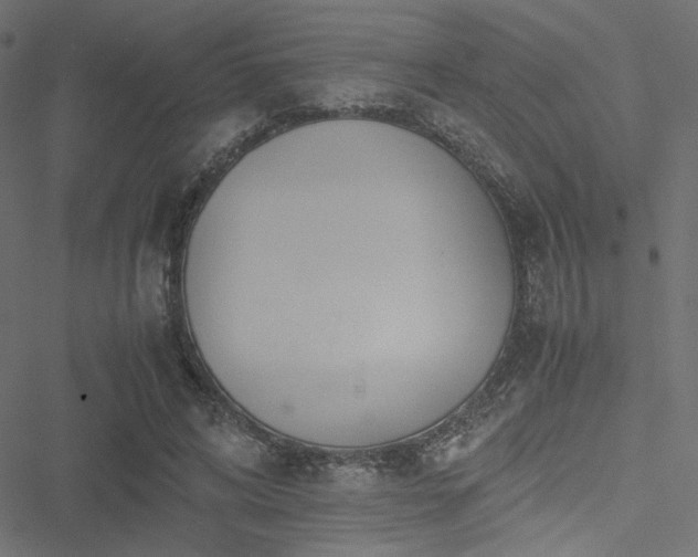 X0000051250592200506171138