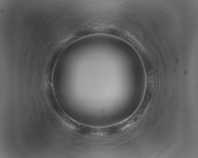 X0000051250593200506171138