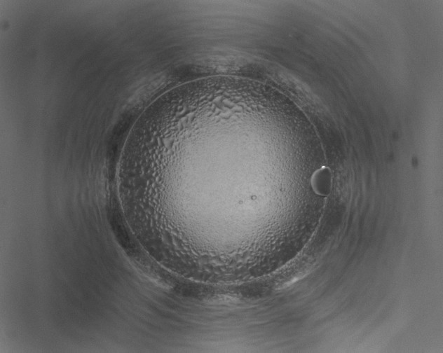 X0000051250594200506171138