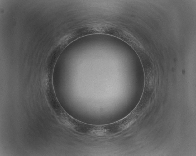 X0000051250595200506171138