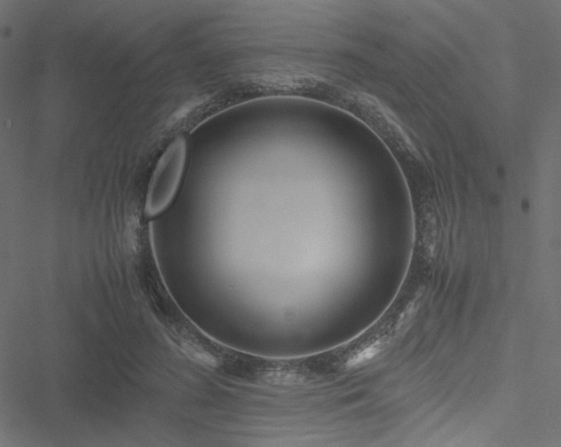 X0000051250596200506171138