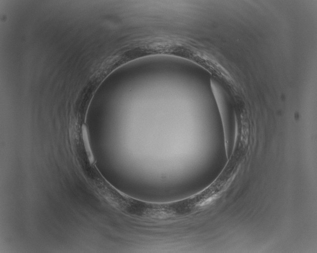 X0000051250597200506171138