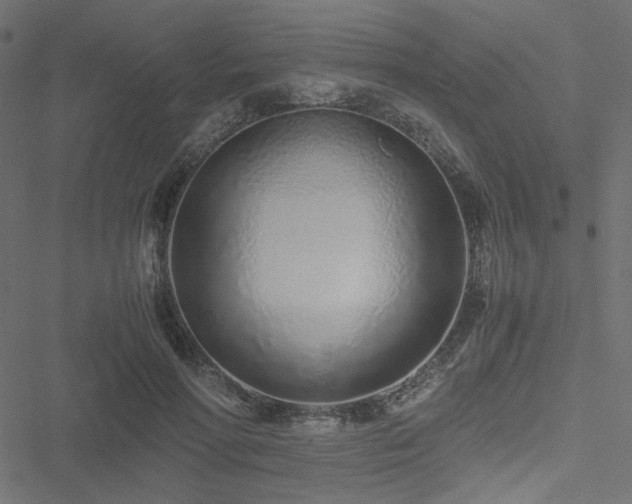 X0000051250598200506171137