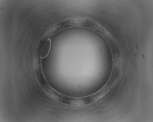 X0000051250599200506171137