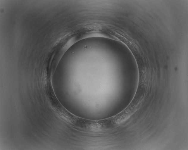 X0000051250600200506171137