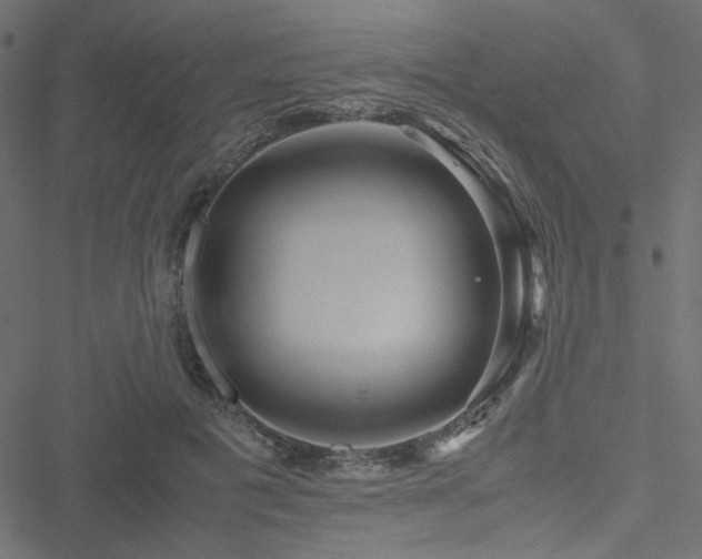 X0000051250601200506171137