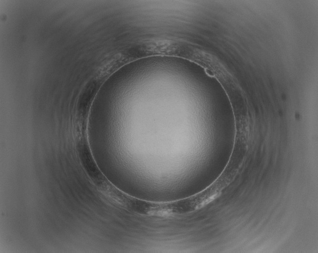 X0000051250602200506171137