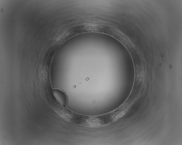 X0000051250603200506171137