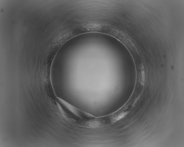 X0000051250604200506171137