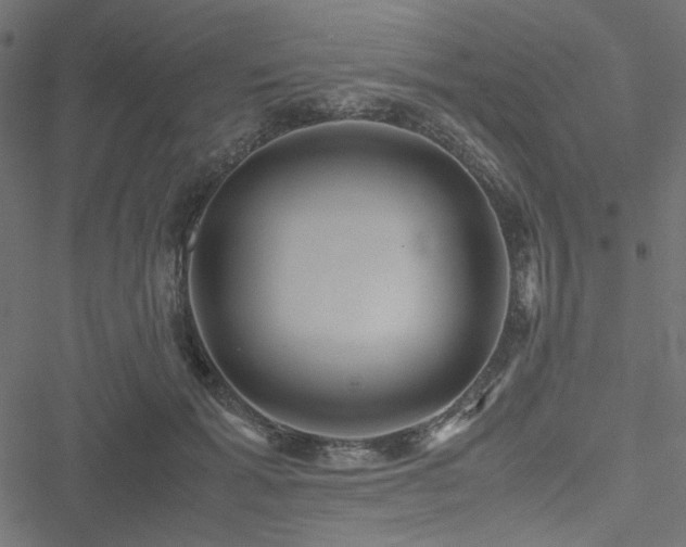 X0000051250605200506171137