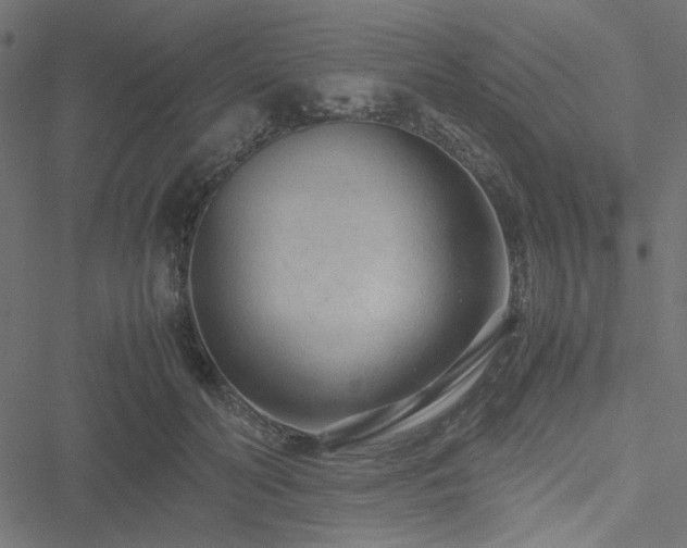 X0000051250606200506171137