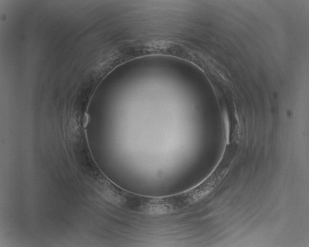 X0000051250608200506171137