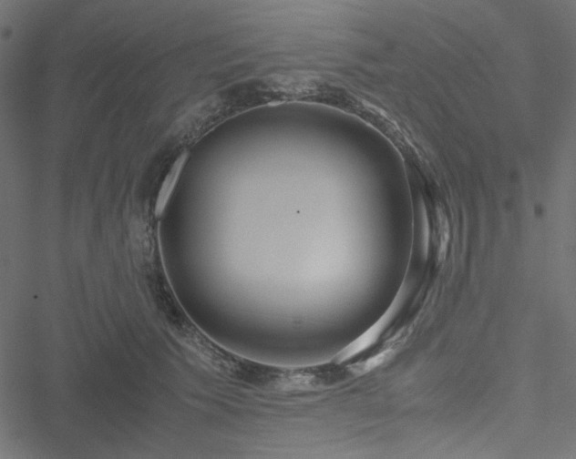 X0000051250609200506171137