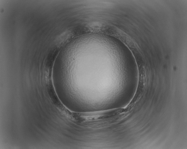 X0000051250610200506171137