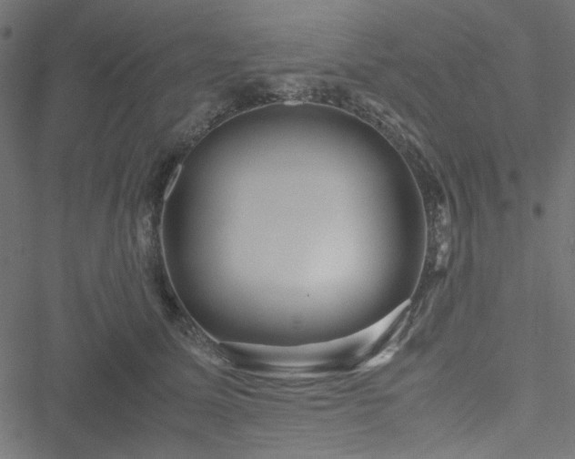 X0000051250611200506171137