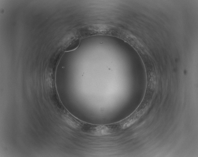 X0000051250612200506171137