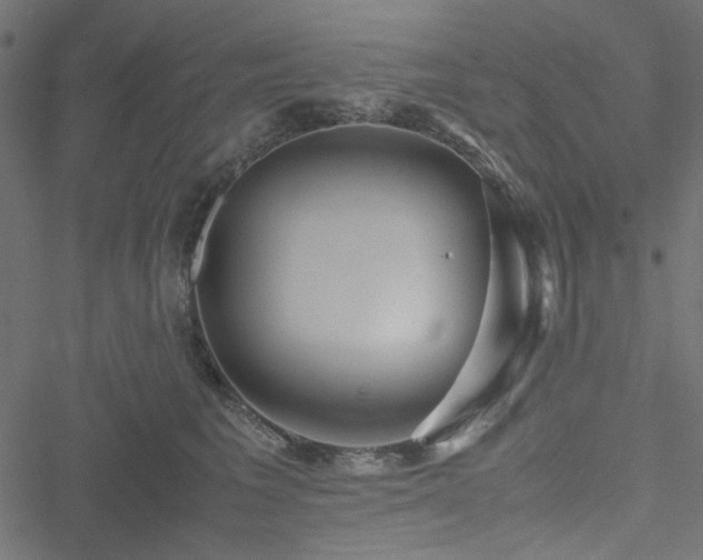 X0000051250613200506171137