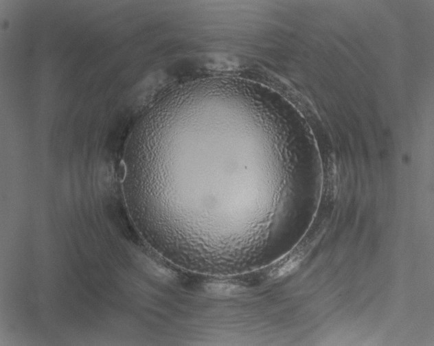 X0000051250614200506171137