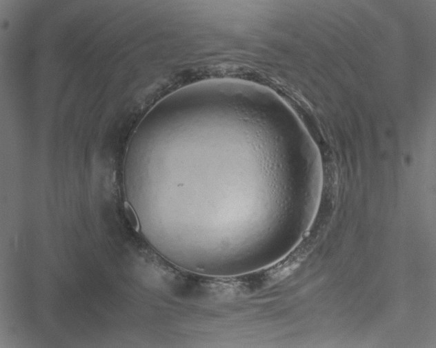 X0000051250615200506171137