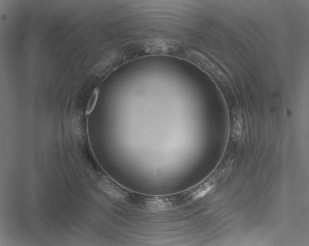 X0000051250616200506171137