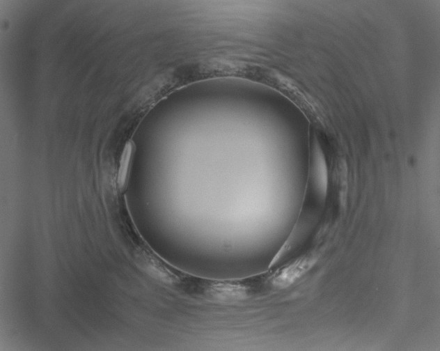 X0000051250617200506171137