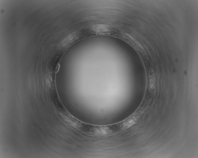 X0000051250618200506171137