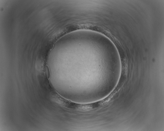 X0000051250619200506171137