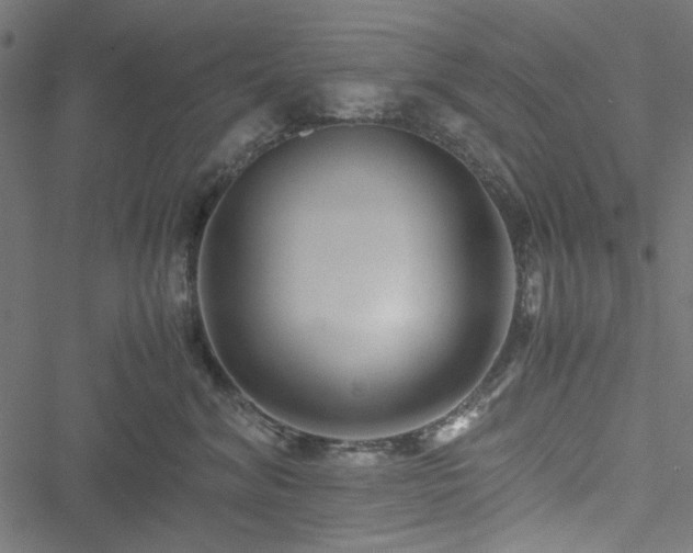 X0000051250620200506171137