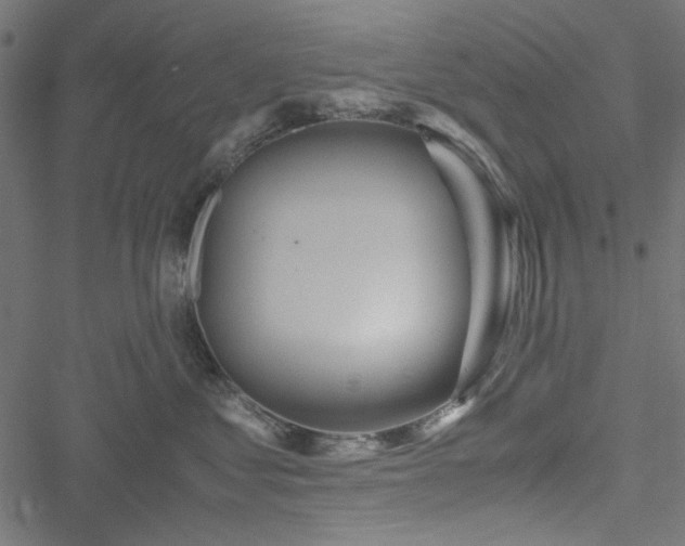 X0000051250621200506171137