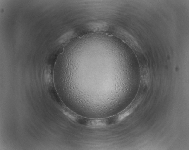 X0000051250622200506171137