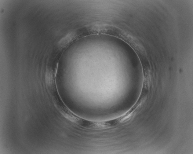 X0000051250623200506171137