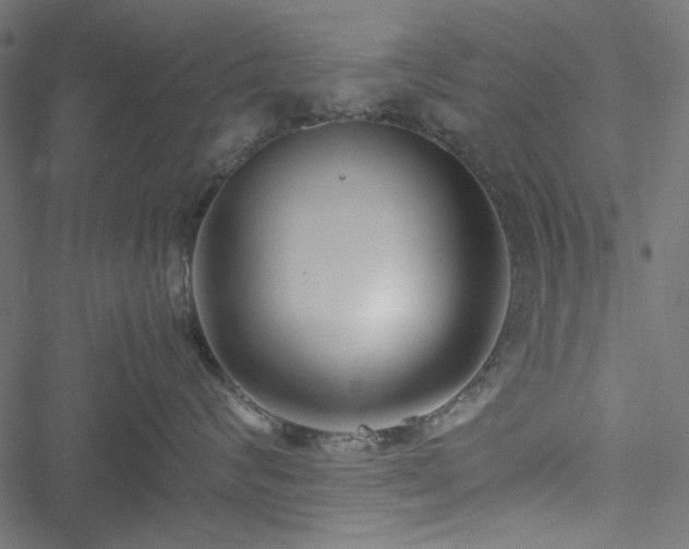 X0000051250624200506171137