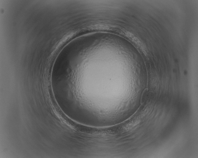 X0000051250625200506171136