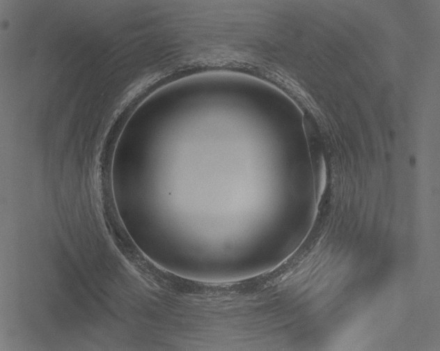 X0000051250626200506171136