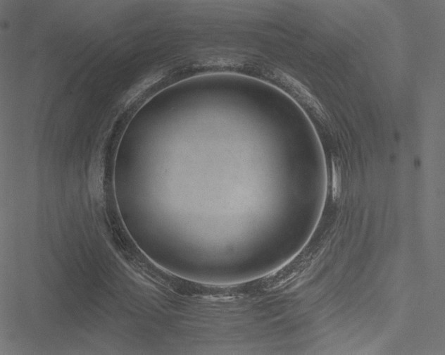 X0000051250627200506171136