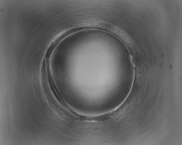 X0000051250628200506171136