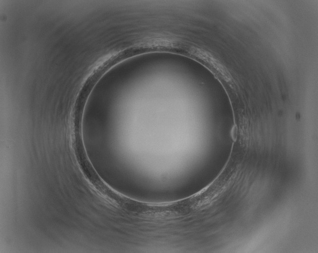 X0000051250629200506171136