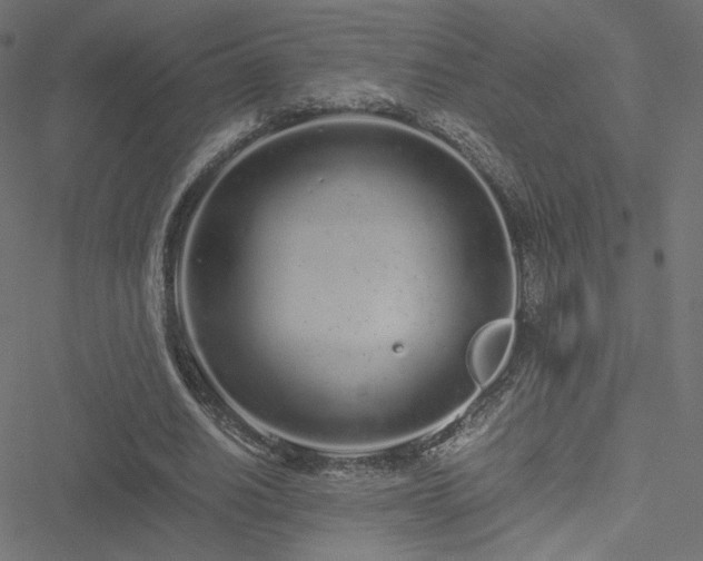 X0000051250630200506171136