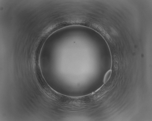 X0000051250631200506171136