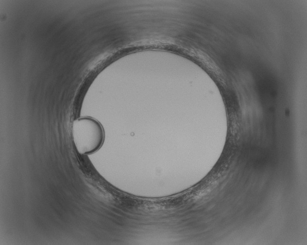 X0000051250632200506171136