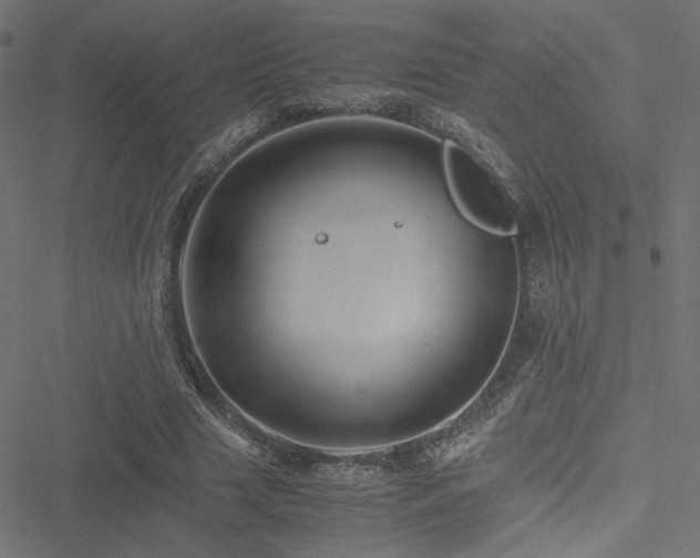 X0000051250633200506171136