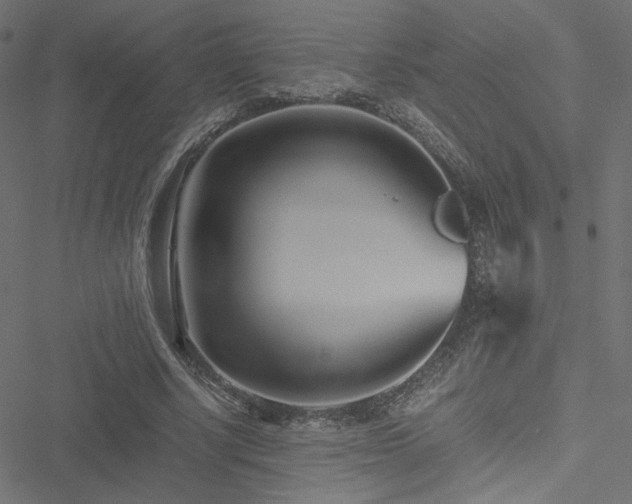 X0000051250634200506171136