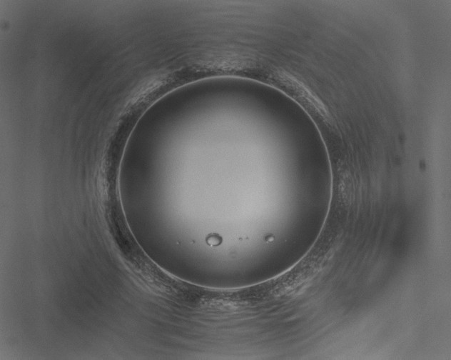 X0000051250635200506171136