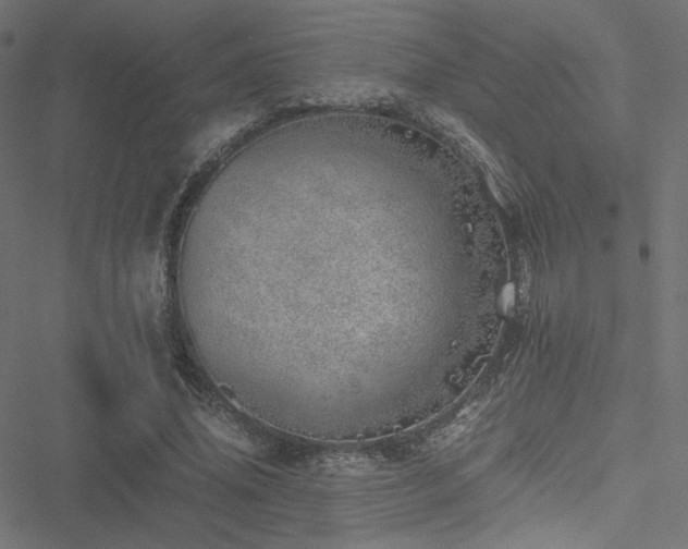 X0000051250636200506171136